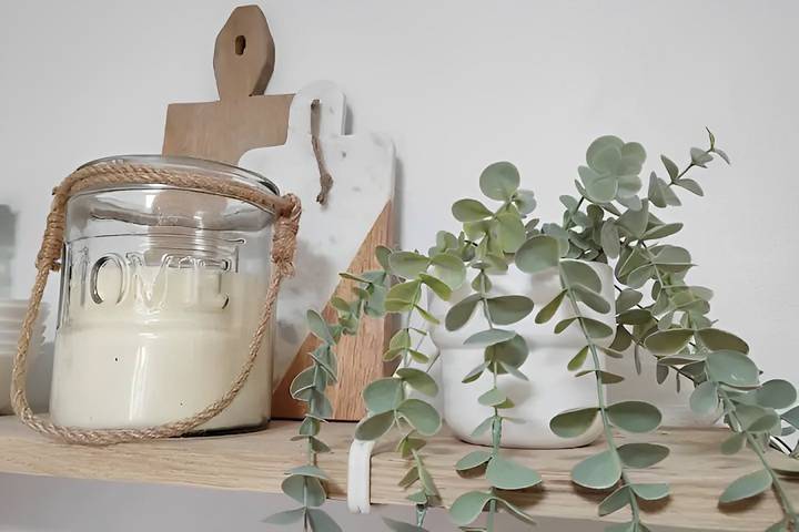 Gîte pour 3 personnes, animaux acceptés à Saint-Gilles - 3