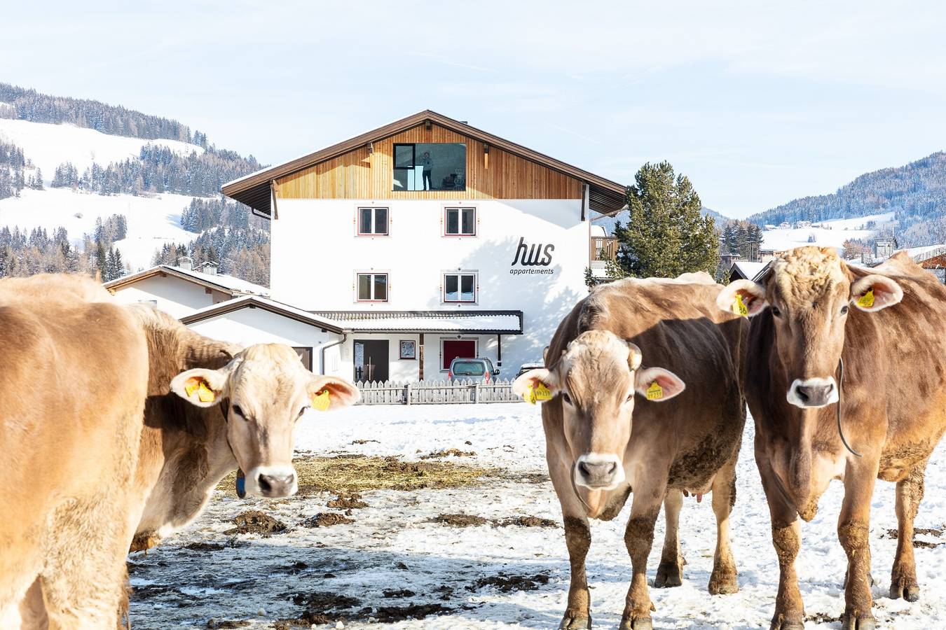 Appartamento intero, Moderno "Appartamento Hus - Nr. 1" con balcone, giardino e Wi-Fi in Valdaora, Dolomiti Superski