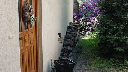 Ferienwohnung für 2 Personen in Ostseebad Prerow, Prerow, Bild 2