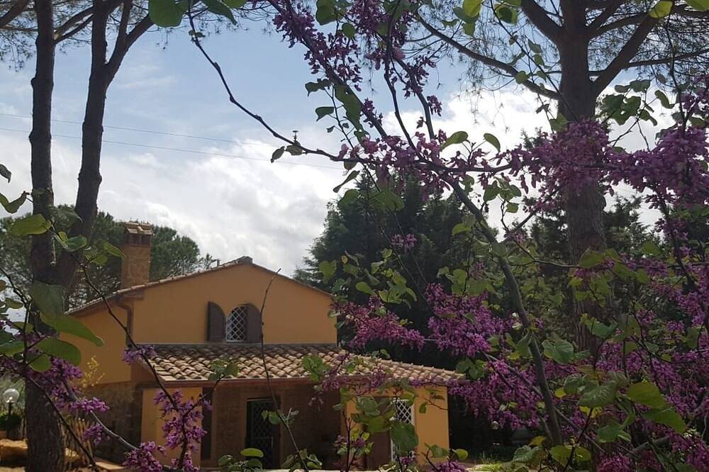Casa vacanza a Guardistallo a partire da 159€ a notte