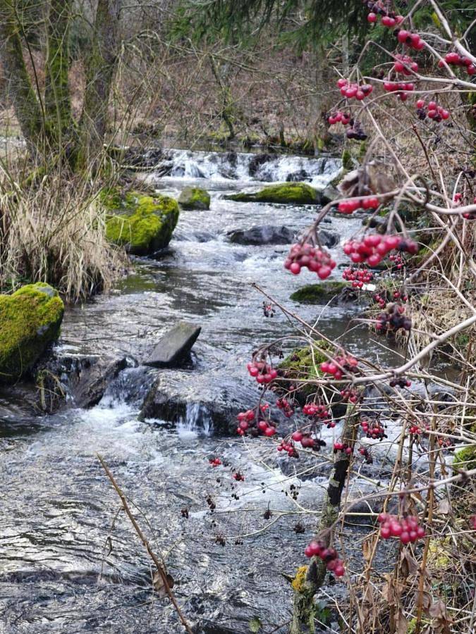 Location de vacances pour 6 personnes, avec vue et balcon à Bertogne - 4