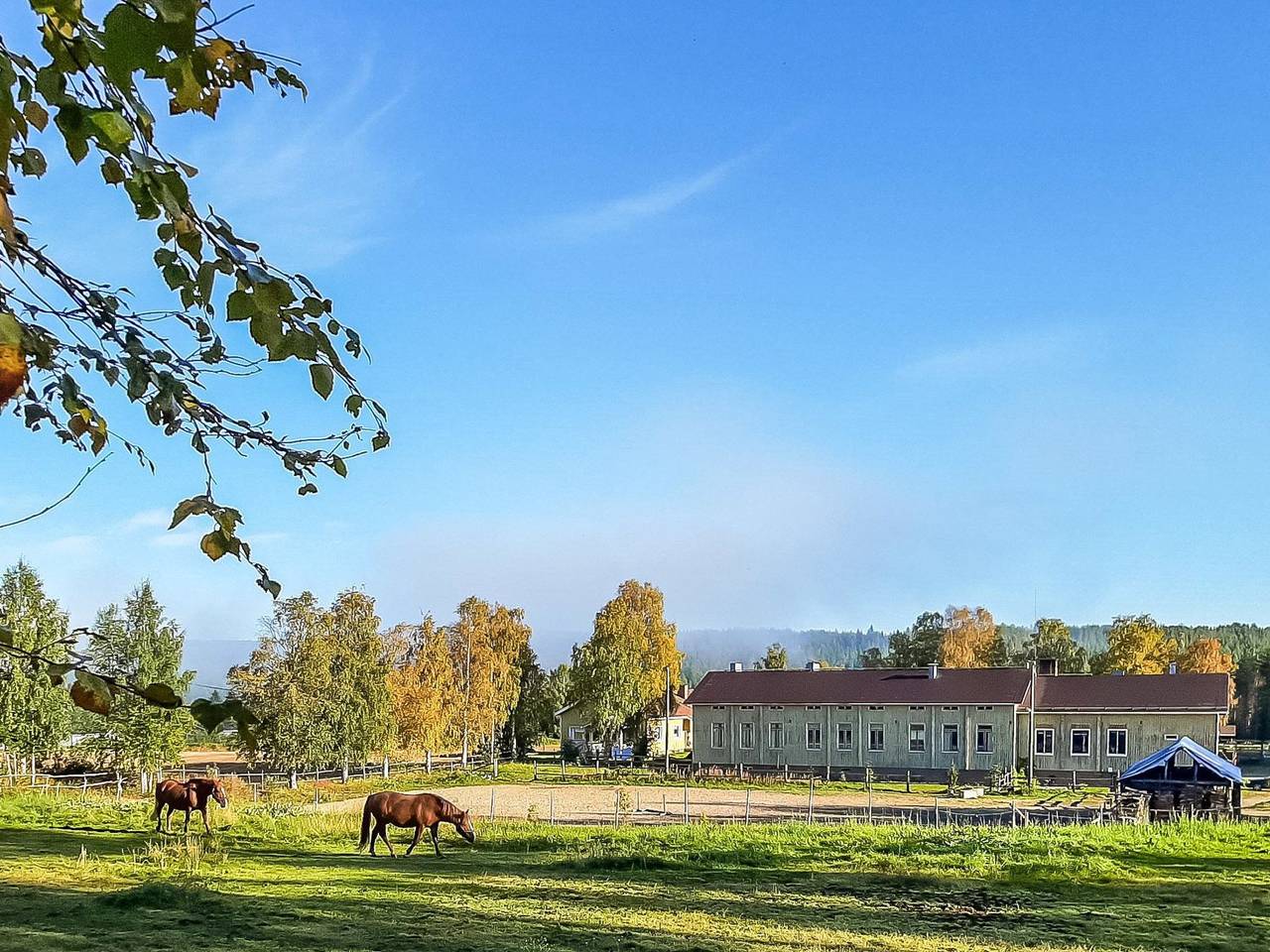 Juotas village in Rovaniemi, Lapland