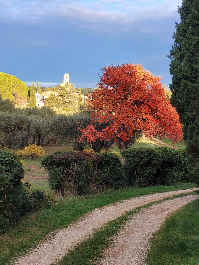 One-Bedroom House in Lourmarin, Regionaler Naturpark Luberon