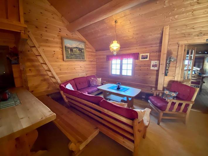 Hôtel pour 2 personnes, avec vue ainsi que jardin et sauna, animaux acceptés à Geilo - 4