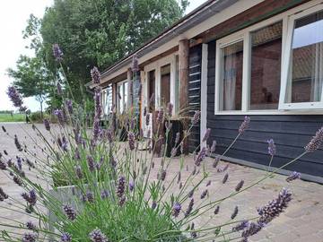 Ferienhaus für 6 Personen, mit Balkon/Terrasse und Terrasse in Zeeland