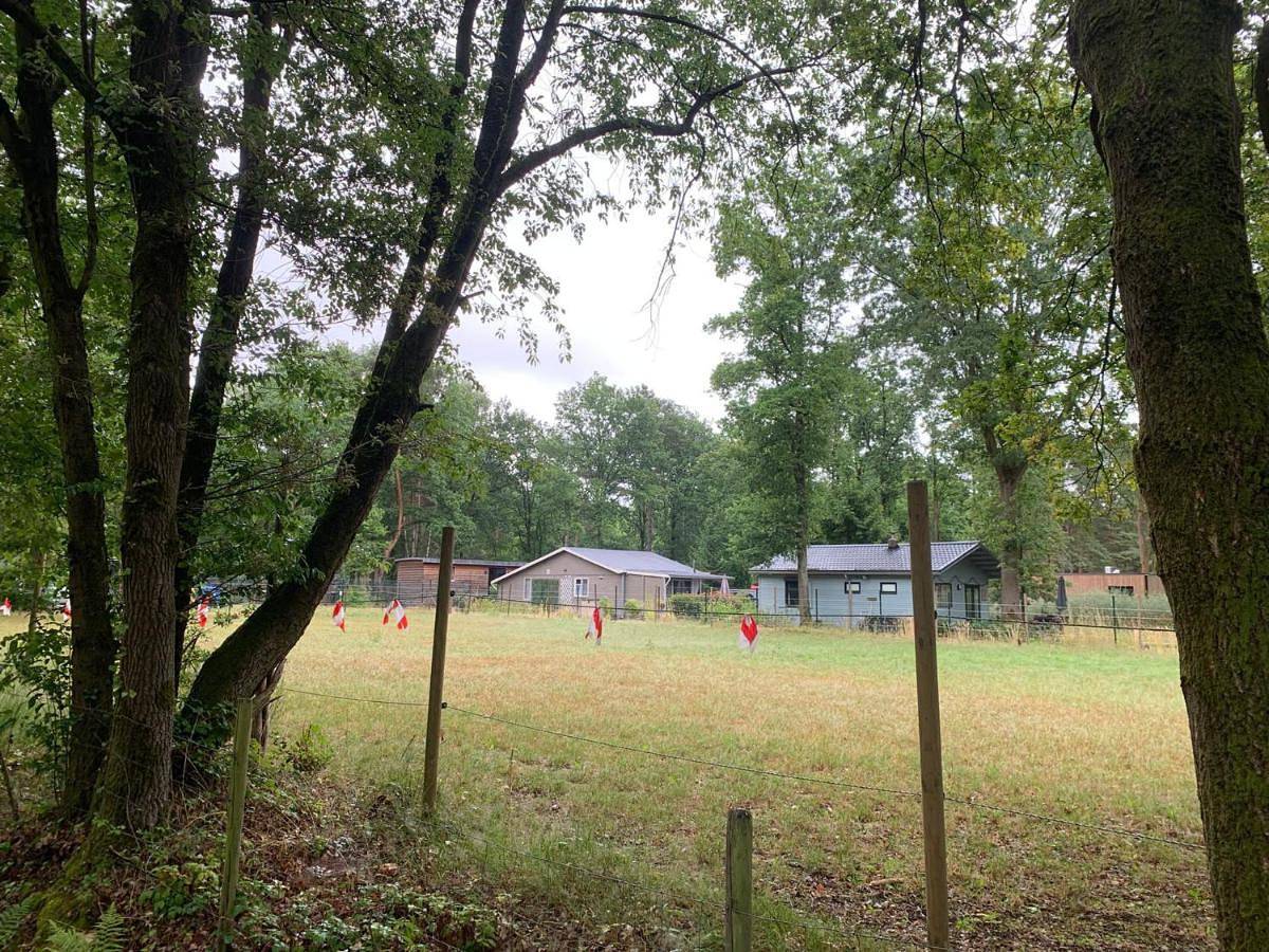 Lot 37 in Zutendaal, Région de Hasselt