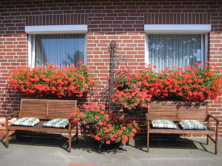 Ferienhaus für 2 Personen, mit Terrasse und Garten in Bad Harzburg - 4