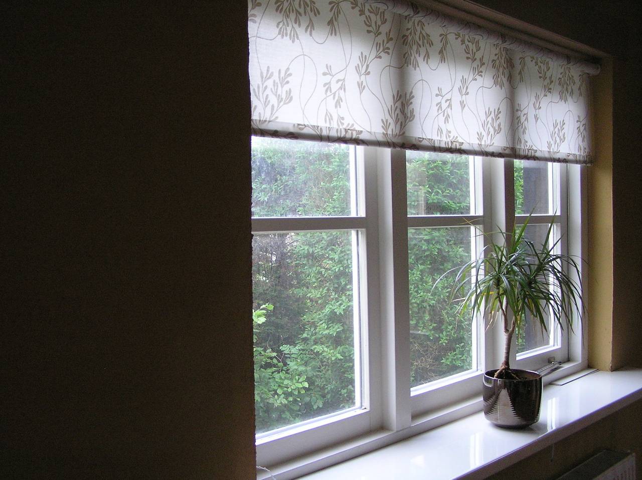 Ruhig gelegenes Ferienhaus für 4 Personen mit umzäuntem Garten in Egmond aan den Hoef in Egmond aan den Hoef, Noord-Holland - Nordseeküste