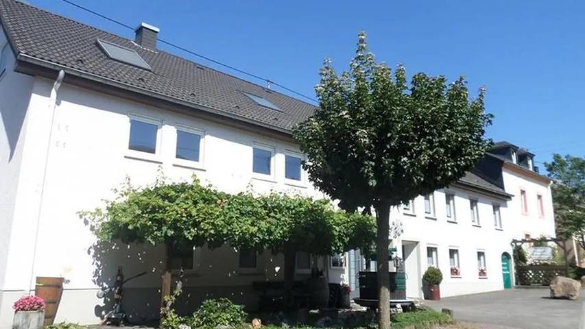 Gîte pour 4 personnes, avec jardin dans Oberemmel - 4