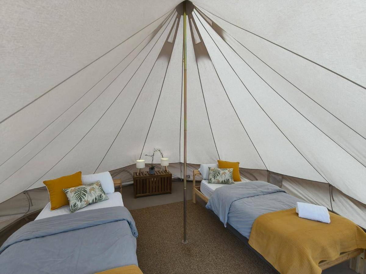 Adeje - Twinfin Hostel & Surf Yoga Camp in Adeje, Tenerife du Sud