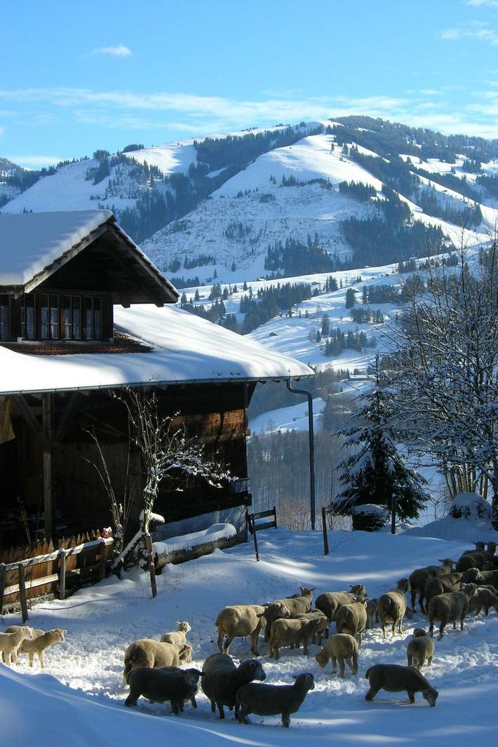 Ganze Wohnung, Auf der Mauer in Oberwil im Simmental, Berner Oberland