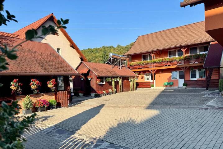 Maison d’hôte pour 4 personnes, avec terrasse dans Mureș - 4