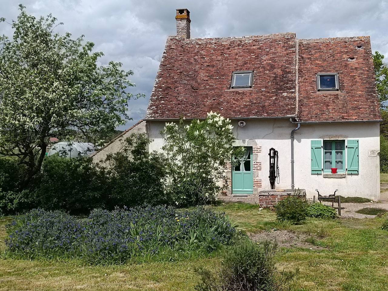 Un havre de paix entre forêt et Loire, à 30 min d'Orléans, idéal pour familles et pêcheurs in Tigy, Sologne