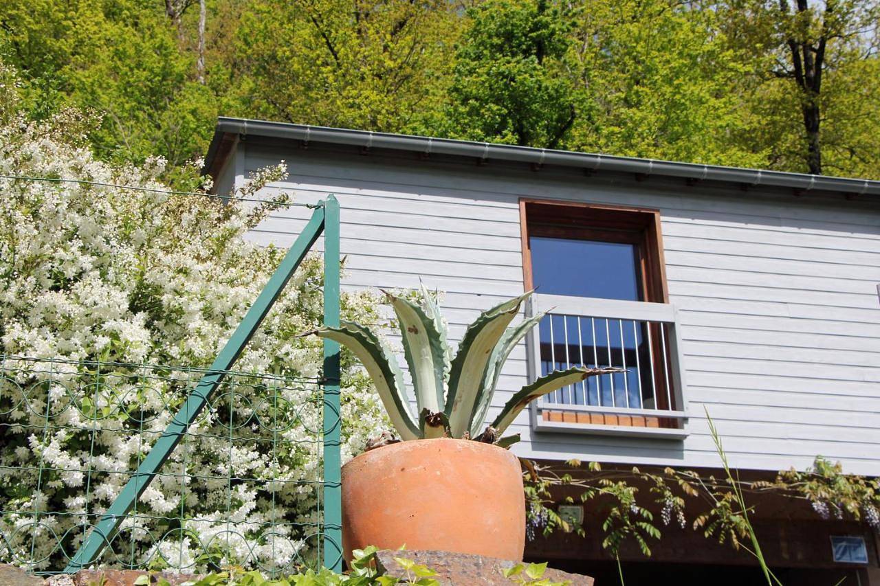 La maisonnette en bois in Sébrazac, Aveyron