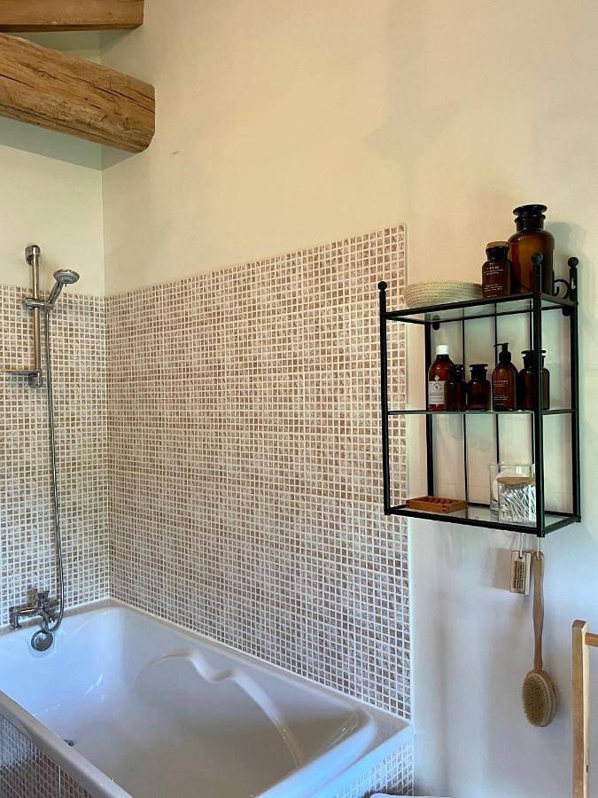 Location de vacances pour 10 personnes, avec jardin ainsi que jacuzzi et piscine, animaux acceptés à La Chapelle-Saint-Étienne - 2