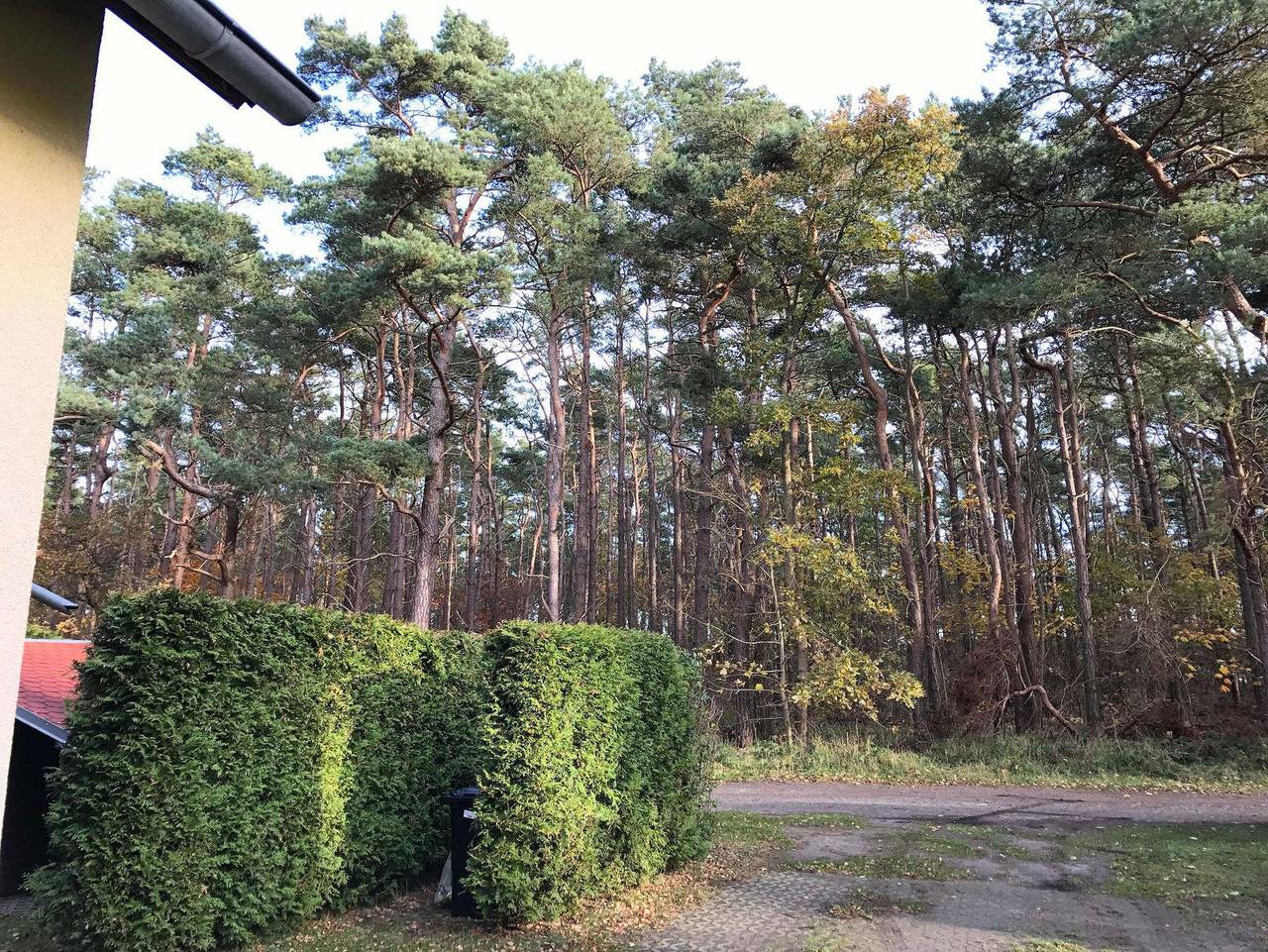 Ferienhaus Sonnenschein in Breege - Ferienhaus in Breege, Rügen