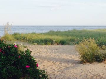Cottage for 6 Guests in Nantucket Island, Picture 2