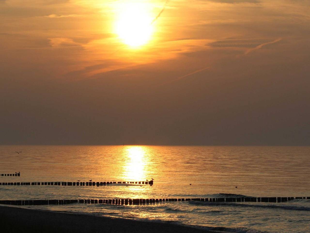 Ganze Ferienwohnung, Ferienhaus mit Wintergarten - 3-Raum-Ferienhaus mit Wintergarten 4 Erw.+1 Baby in Graal-Müritz, Rostock und Umgebung