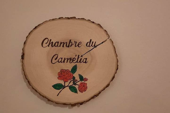 Chambre d’hôte pour 2 personnes, avec piscine à Lyon