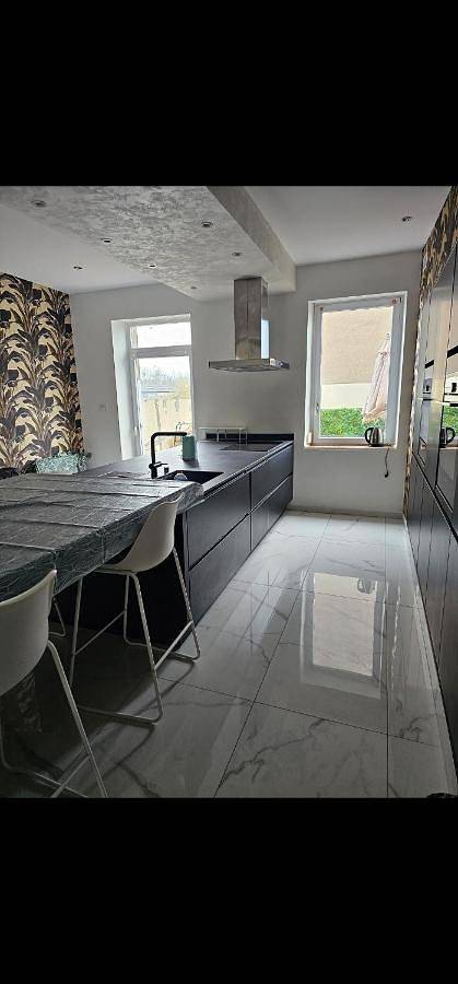 Gîte pour 11 personnes, avec terrasse, animaux acceptés à Thionville - 4