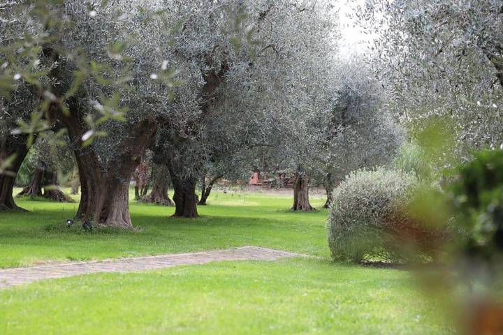 Villa für 6 Personen, mit Terrasse und Garten sowie Ausblick in Rimini