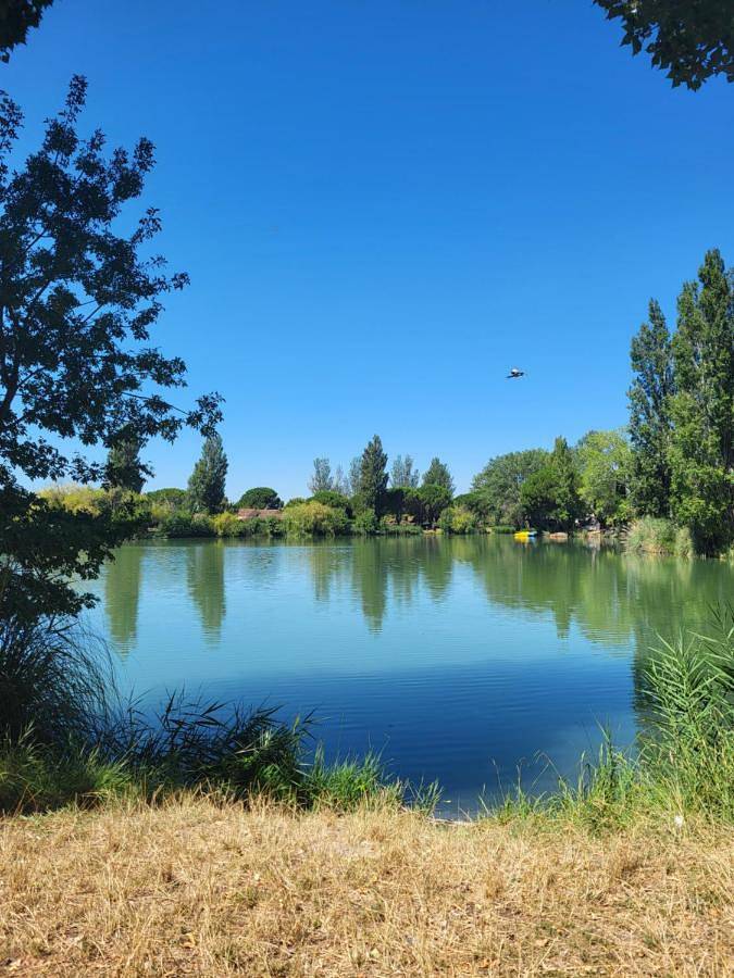 Location de vacances pour 4 personnes, avec Balcon et Jacuzzi ainsi que Jardin et Piscine à Saint-Martin-de-Crau