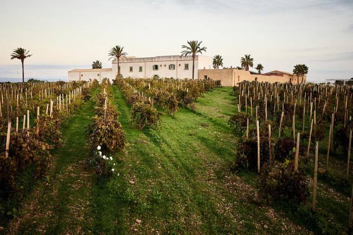 Ferienanlage für 3 Personen, mit Pool und Garten auf Sizilien - 4