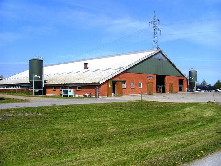 Bauernhof für 4 Personen, mit Ausblick und Garten sowie Terrasse, kinderfreundlich auf Eiderstedt - 3