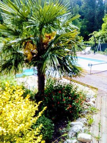 Hôtel pour 2 personnes, avec jardin ainsi que vue et piscine, animaux acceptés à Barnas