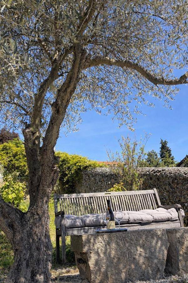 Gîte pour 3 personnes, avec vue ainsi que terrasse et vue sur le lac à Condrieu - 2