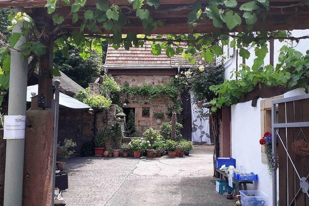Ganze Wohnung, Appartement Kastanienhof - Appartement/Fewo, Dusche, Wc, Nichtraucher in Dörrenbach, Südliche Weinstraße