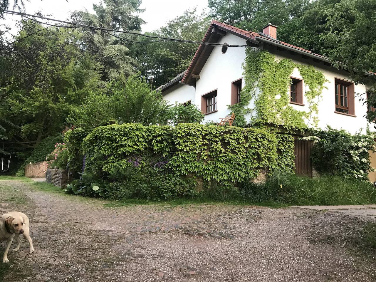 Geheel vakantieappartement, Appartement, douche, Wc, 1 slaapkamer in Merzig, Saar-Nahe-Bergland