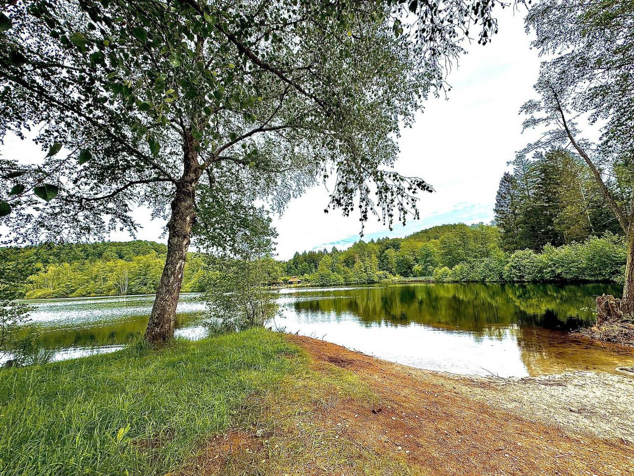 Seehaus Luwi Royal - Ferienhaus, Dusche und Bad, Wc, 3 Schlafräume in Ludwigswinkel, Pfalz