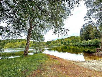 Ferienhaus für 6 Personen in Ludwigswinkel, Pfälzer Wald, Bild 1