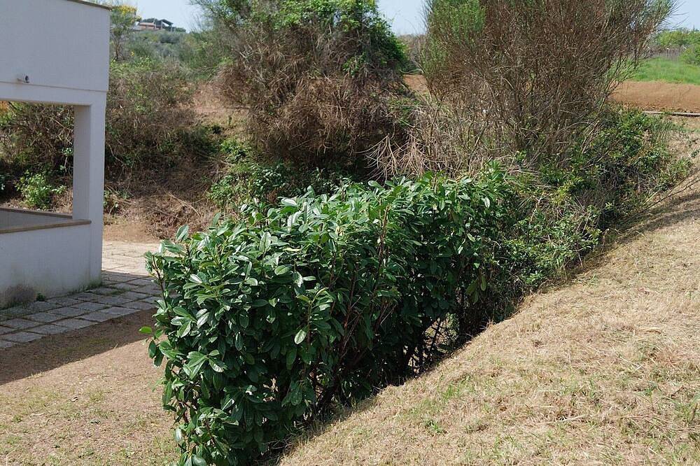 Entire apartment, \" Da Lucia\" Immersed in nature!!! in Torrevecchia Teatina, Chieti Province