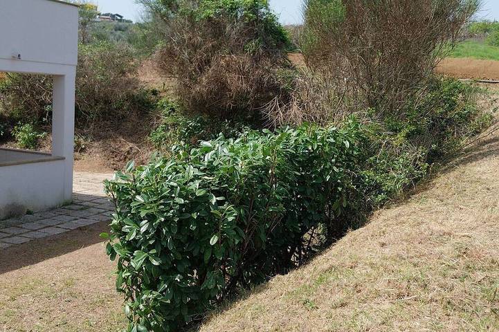 Apartamento de vacaciones para 4 personas - 1