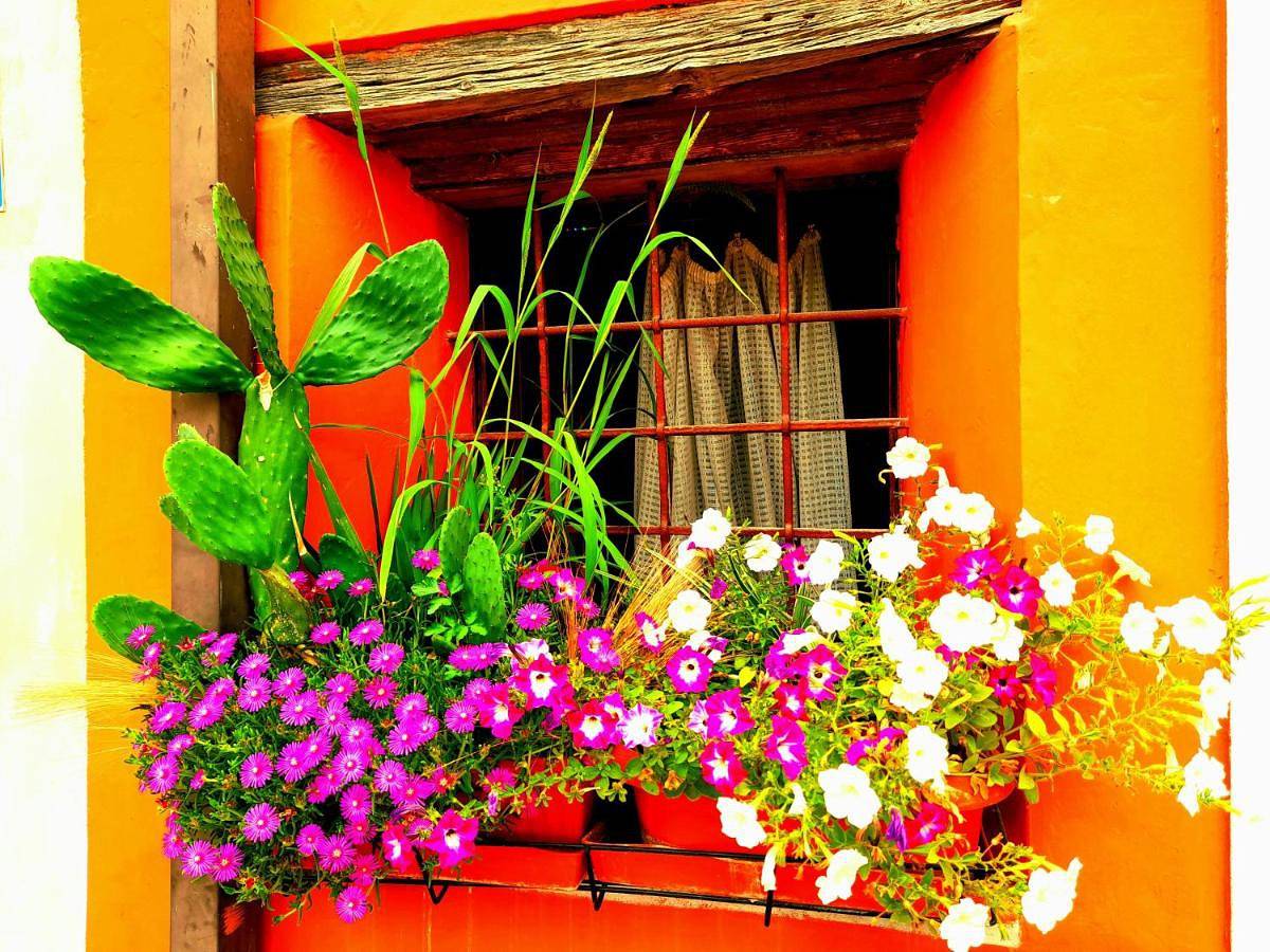 Apartment with Garden View in Ponti sul Mincio, Prealpi Gardesane