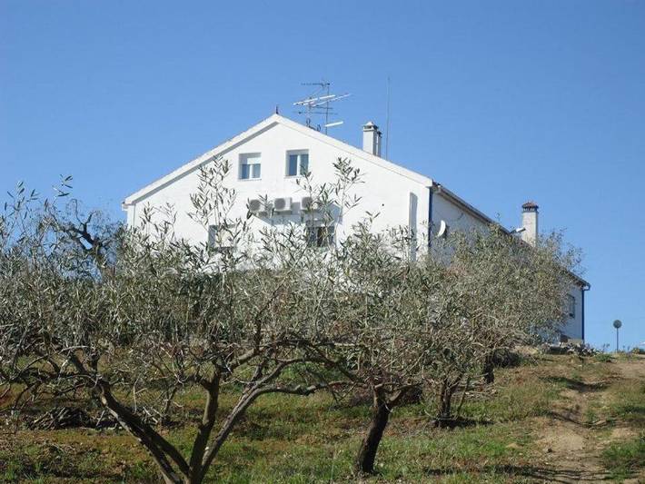 Gîte pour 4 personnes, avec jardin et piscine dans Montemor-o-Novo - 2