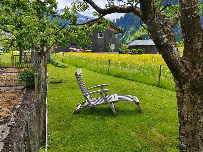 Ferienwohnung für 2 Personen, mit Garten und Ausblick in Schoppernau - 4