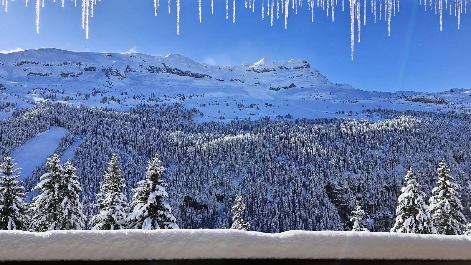 Entire apartment, Renovated apartment · Resort center · Balcony · Covered parking in Flaine, Grand Massif