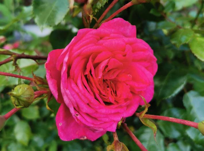 Ferienwohnung für 2 Personen, mit Terrasse und Balkon/Terrasse, kinderfreundlich in Teisendorf - 4