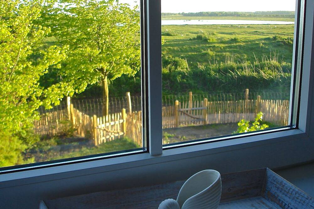 Deichhaus mit Eiderblick Naturschutzgebiet, Hund willkommen 15 min St.P. Ording in Tönning, Halbinsel Eiderstedt