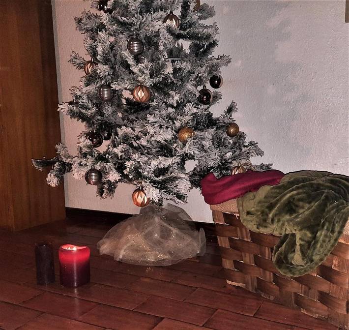 Location de vacances pour 9 personnes, avec vue et jardin, animaux acceptés dans Fão - 3