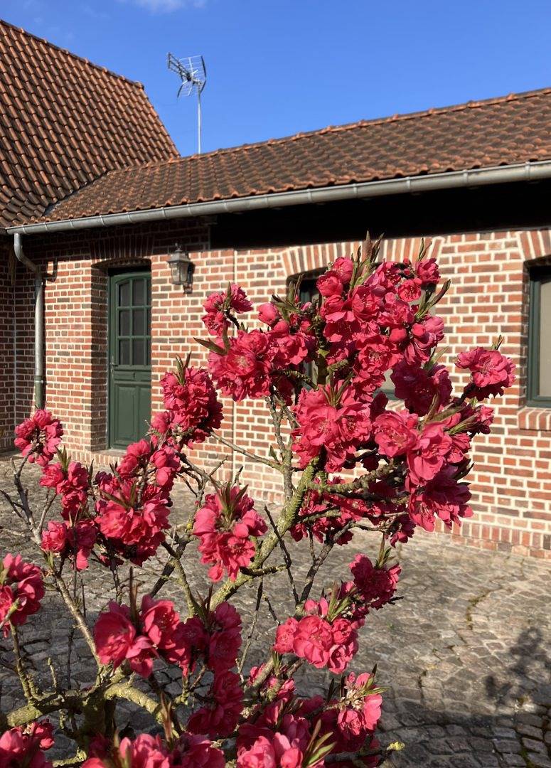 La Marquille - Chambre in Marquillies, Région de Lille