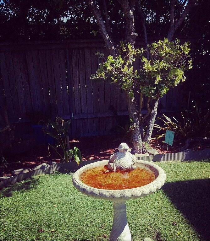Große schöne Beachy Pet freundliche Unterkunft, Spielzimmer mit Bad. in Culburra, Culburra Beach