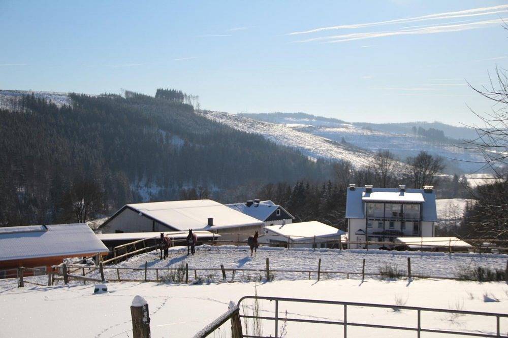 Pension Hof Dödesberg - Pferdekoppel in Bad Berleburg, Kreis Siegen-Wittgenstein