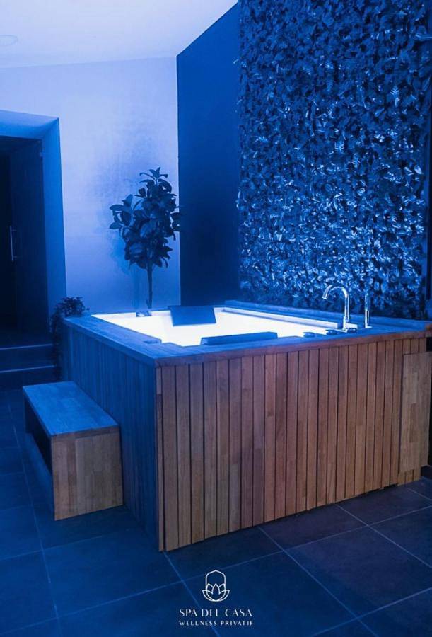 Location de vacances pour 2 personnes, avec jacuzzi et jardin à Herstal - 3