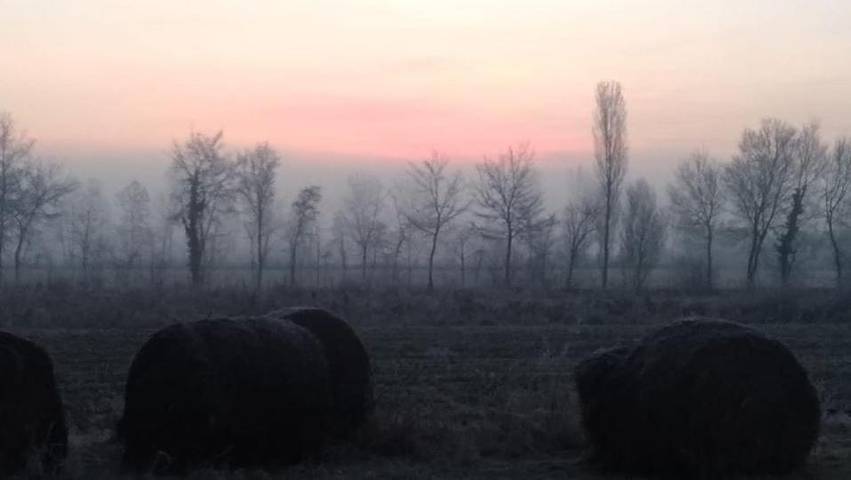 Gîte pour 2 personnes, avec jardin à San Biagio di Callalta - 2