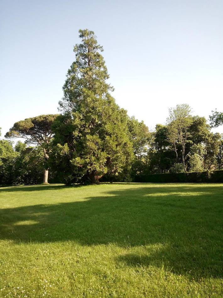 Gîte pour 5 personnes, avec jardin et piscine à Drémil-Lafage