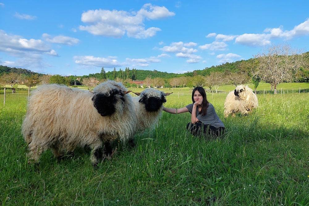 Ferme des Petites Oreilles :  Gîte 4 *, 90 animaux et 25,7 ha. Idéal familles in Montignac, Périgord Noir
